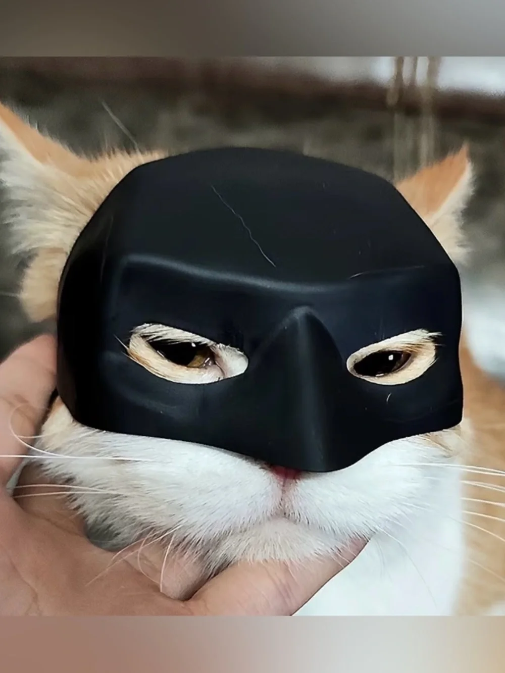 🦇 New! Cat Batman Mask w Strap Feline Superhero Cosplay Cat Costume
